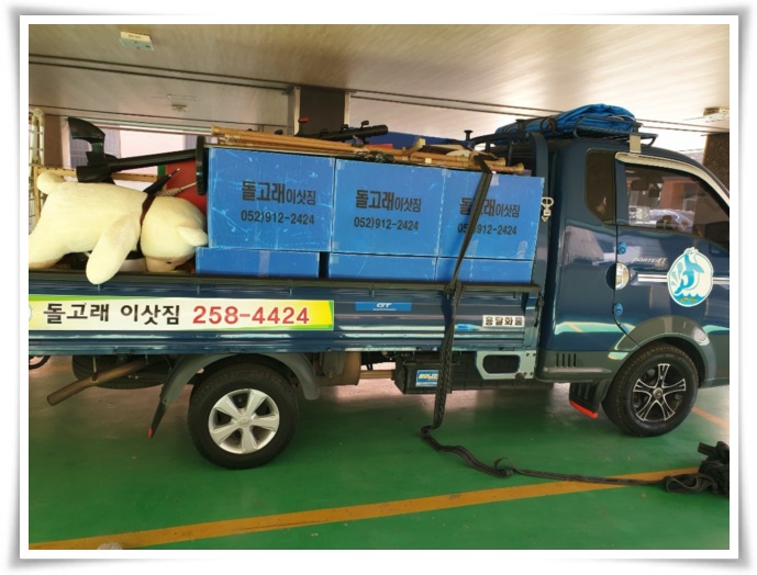 돌고래이사짐 PC 이미지 629505