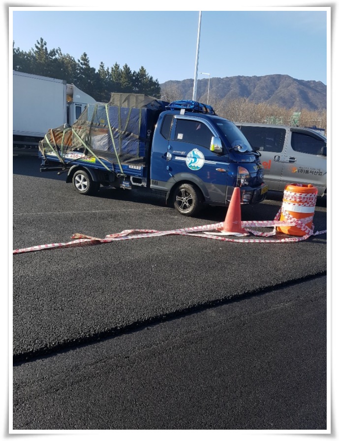 돌고래이사짐 PC 이미지 629506