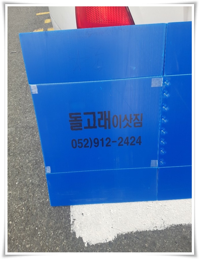 돌고래이사짐 PC 이미지 629508