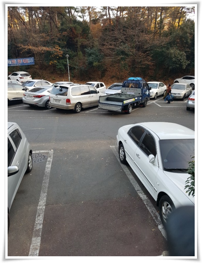 돌고래이사짐 PC 이미지 629509