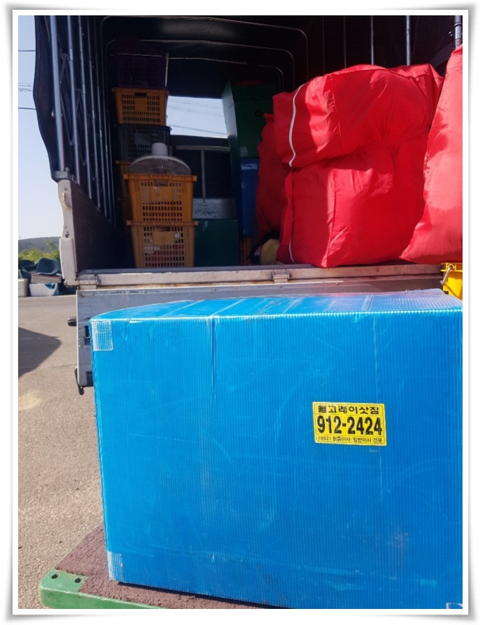 돌고래이사짐 PC 이미지 629512