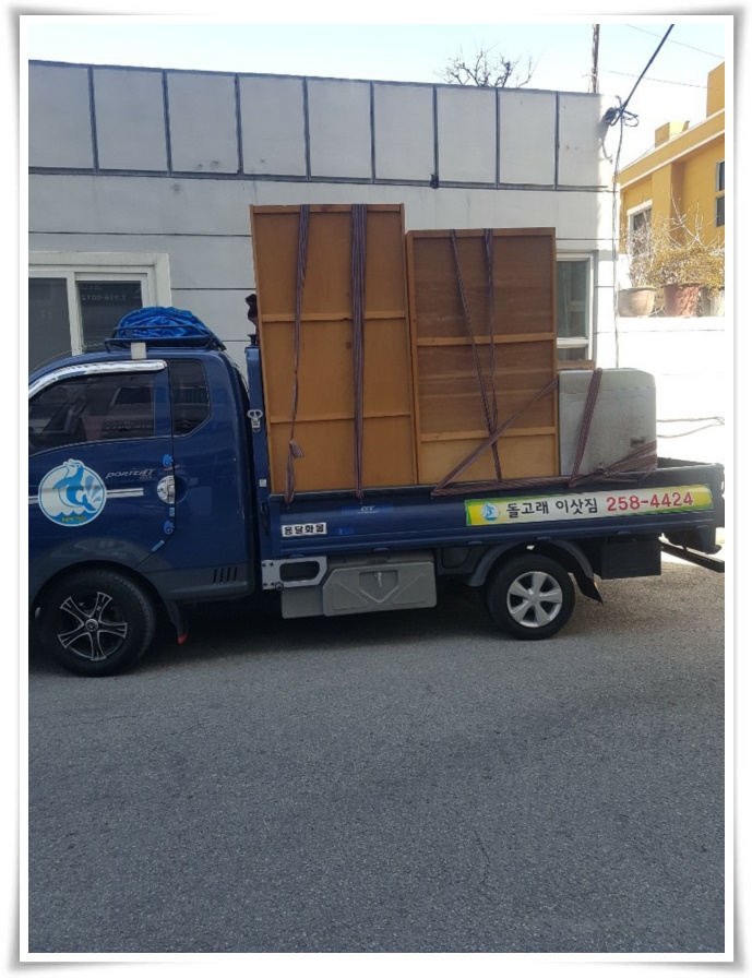 돌고래이사짐 PC 이미지 629514