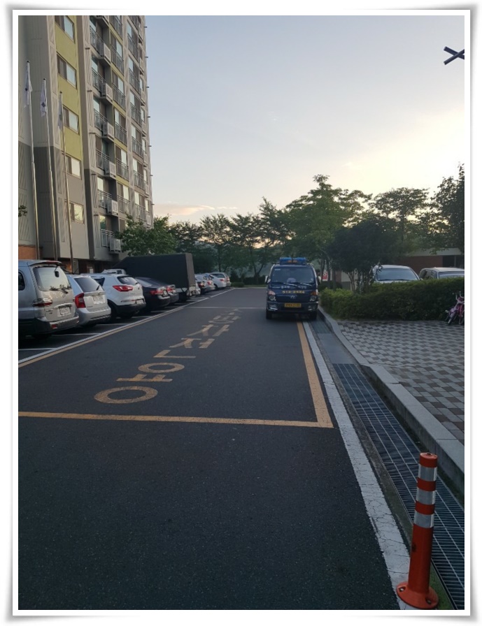 돌고래이사짐 PC 이미지 629515