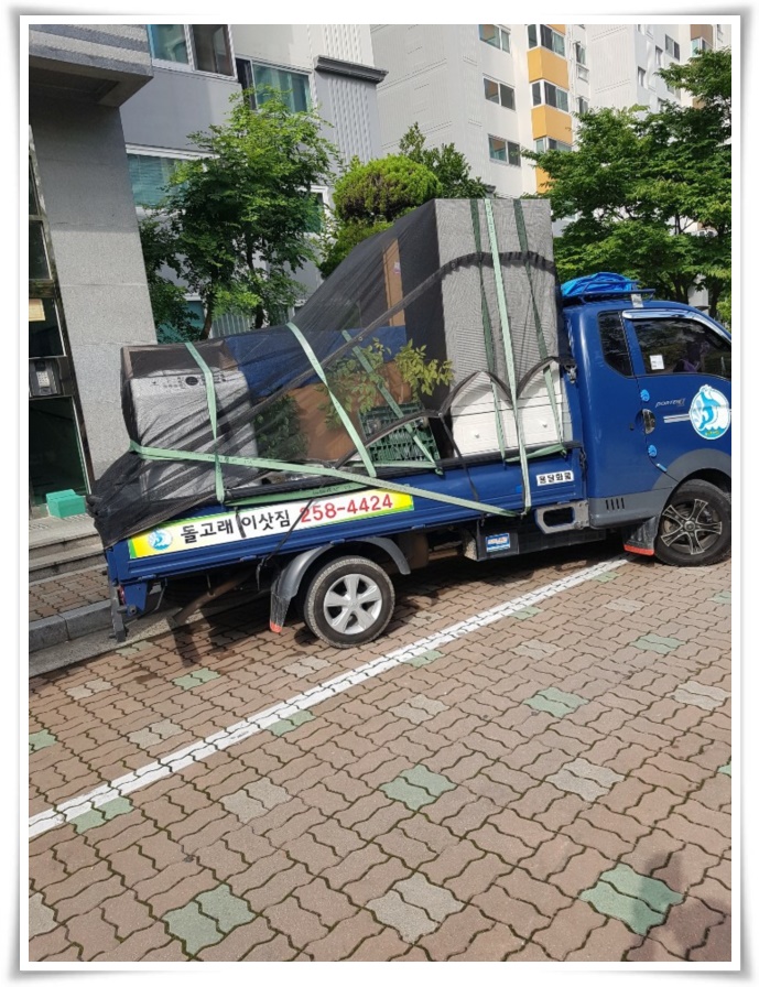 돌고래이사짐 PC 이미지 629516