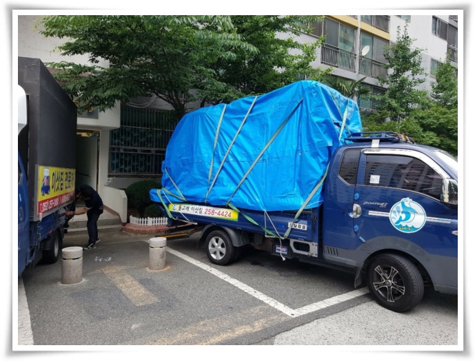 돌고래이사짐 PC 이미지 629518